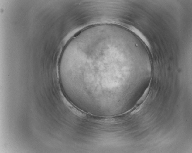 X0000075891388200610062042