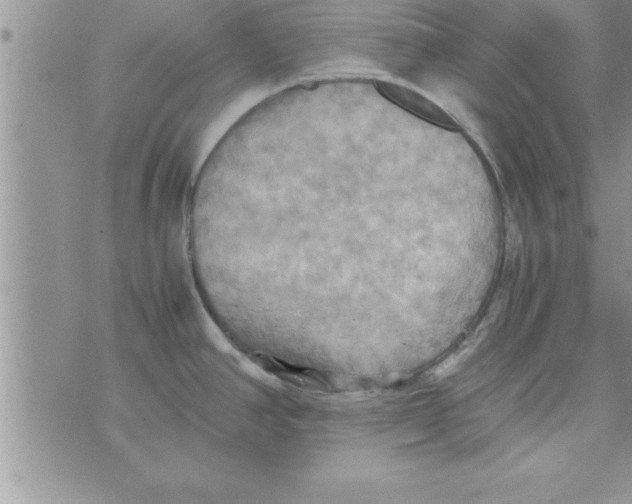 X0000075891390200610062042