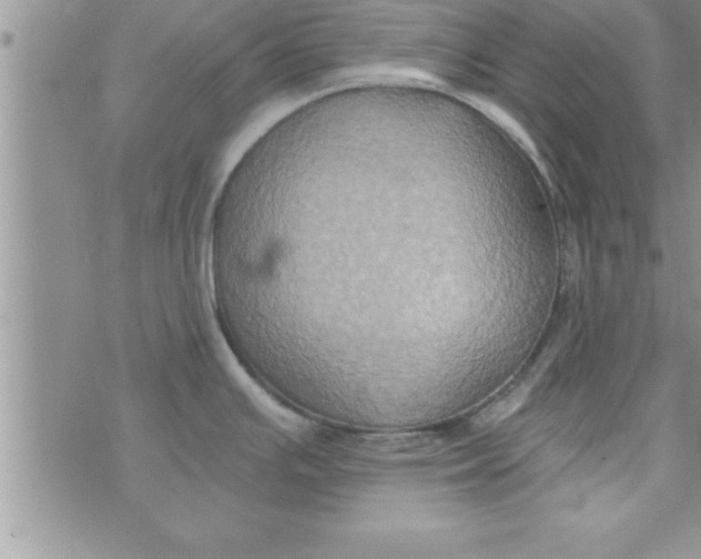 X0000075891391200610062042