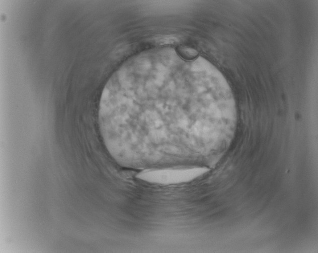 X0000075891393200610062041