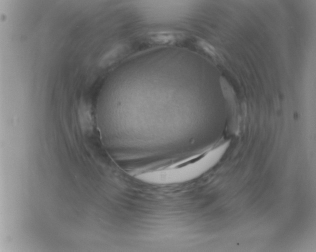 X0000075891394200610062041