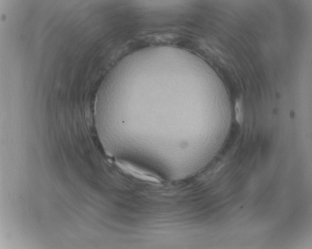 X0000075891395200610062041