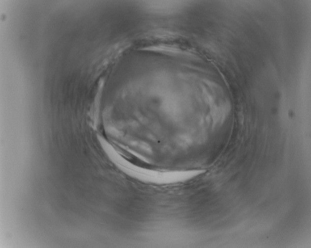 X0000075891397200610062041