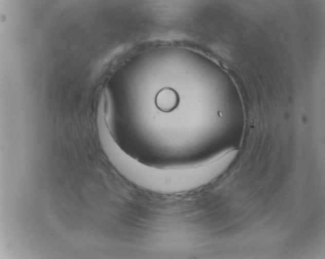 X0000075891398200610062041