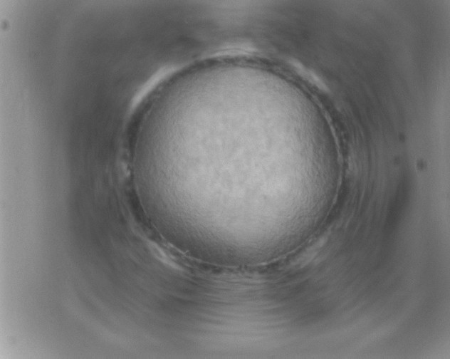 X0000075891400200610062041