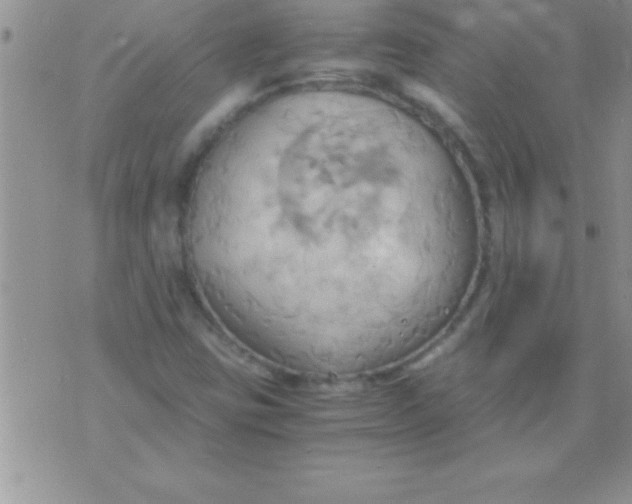 X0000075891403200610062041