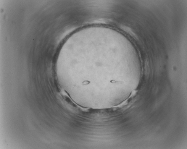 X0000075891404200610062041