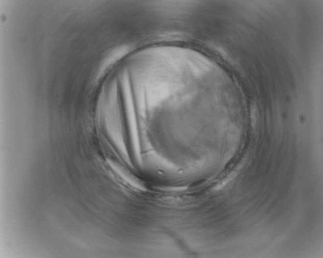 X0000075891405200610062041