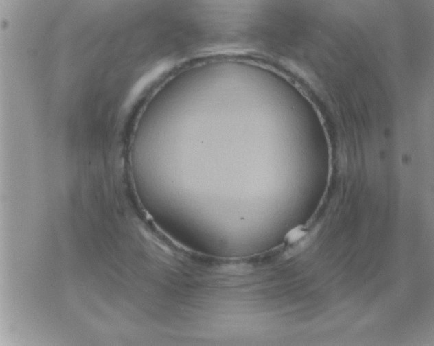 X0000075891406200610062041