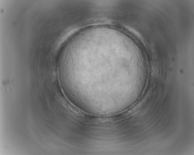 X0000075891407200610062041