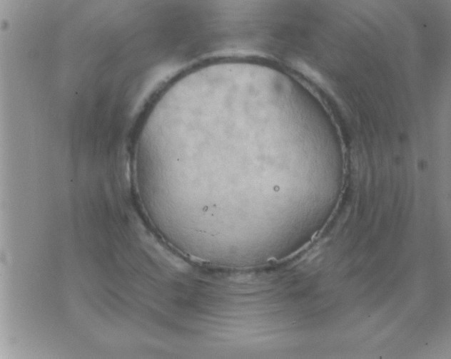 X0000075891408200610062041