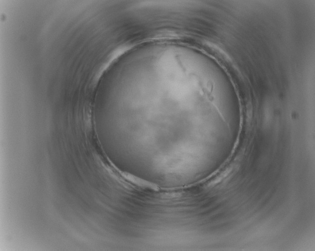 X0000075891409200610062041