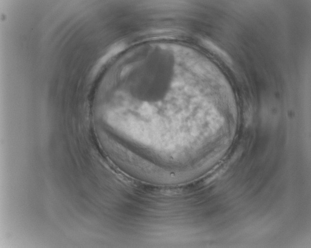 X0000075891411200610062041