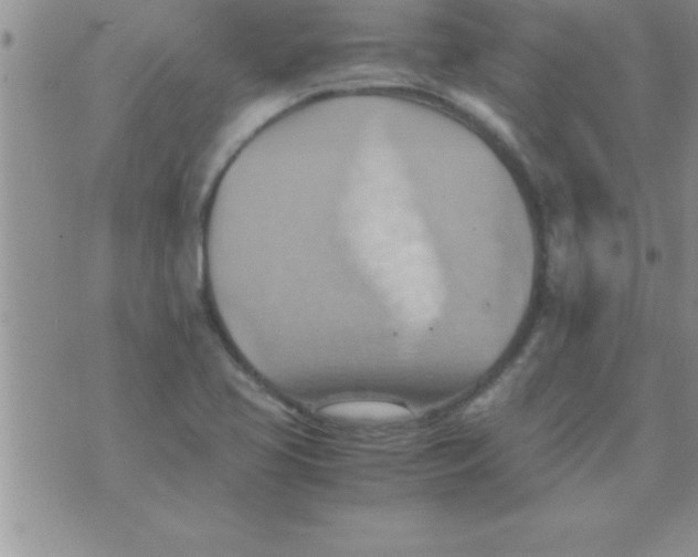 X0000075891413200610062041