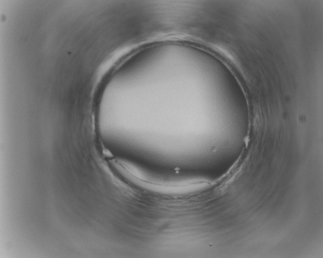 X0000075891414200610062041