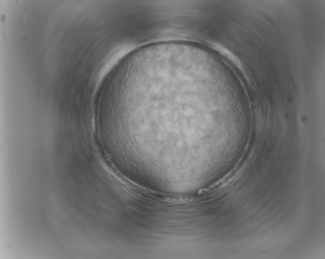 X0000075891415200610062041