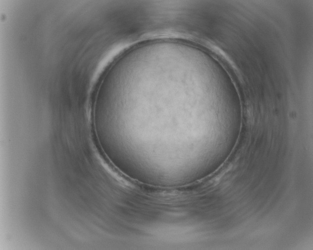 X0000075891416200610062041