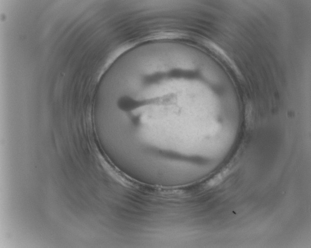 X0000075891417200610062041