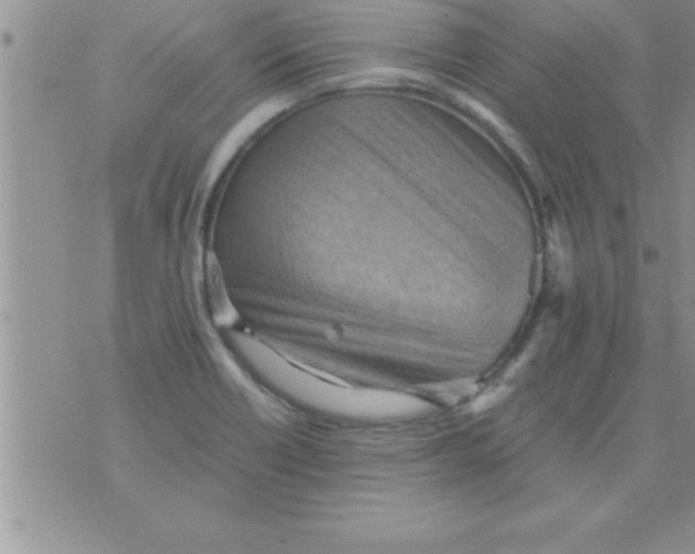 X0000075891418200610062041