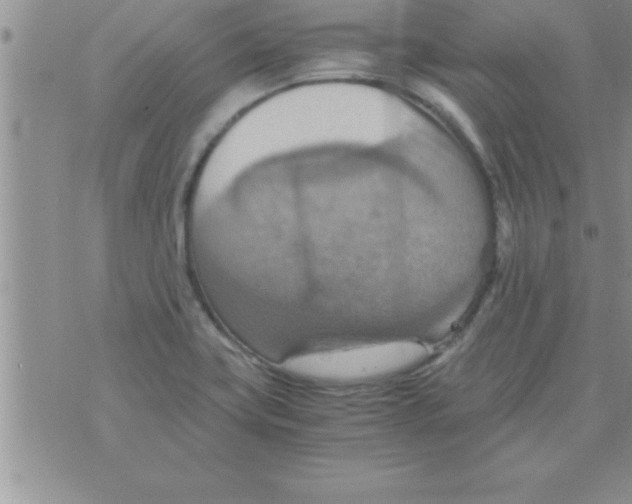 X0000075891419200610062041