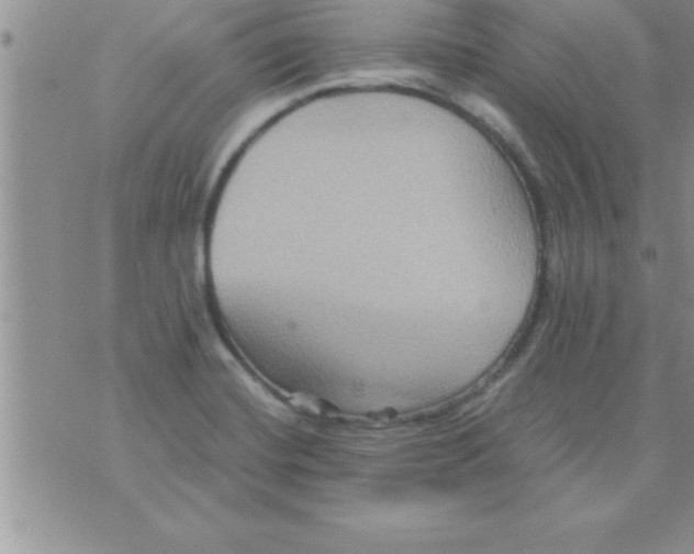 X0000075891420200610062041