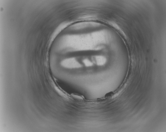 X0000075891421200610062041