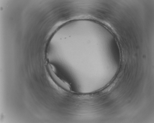 X0000075891422200610062041