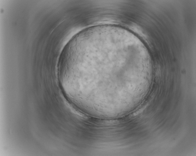 X0000075891423200610062041