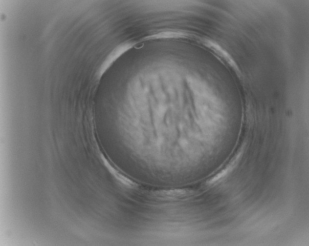 X0000075891425200610062041