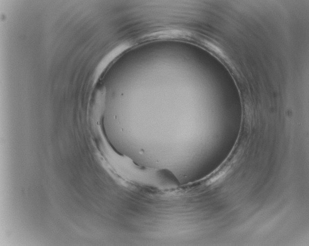 X0000075891426200610062041