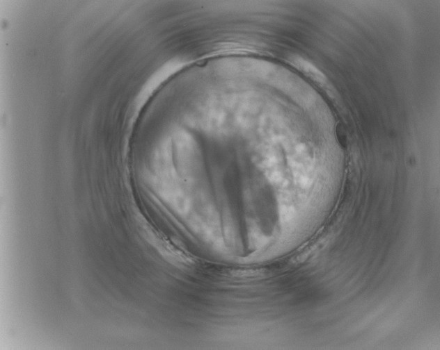 X0000075891427200610062041