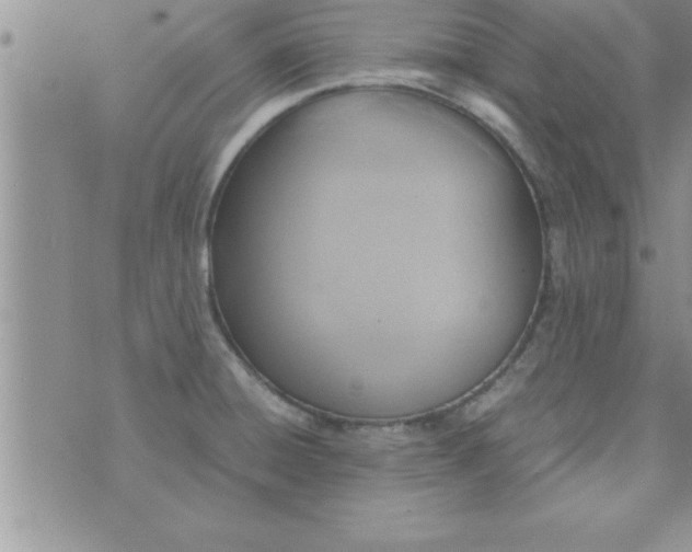 X0000075891428200610062041