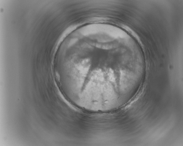 X0000075891429200610062041