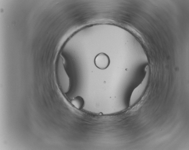 X0000075891430200610062041