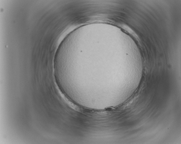 X0000075891431200610062042