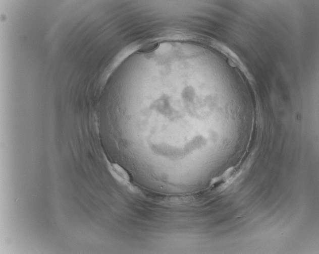 X0000075891433200610062042