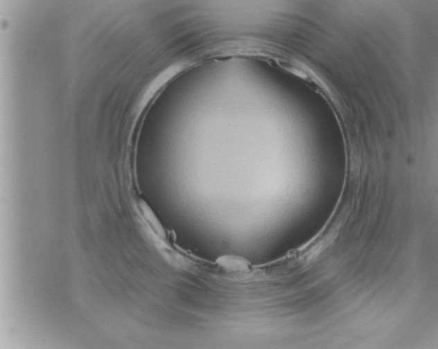 X0000075891434200610062042