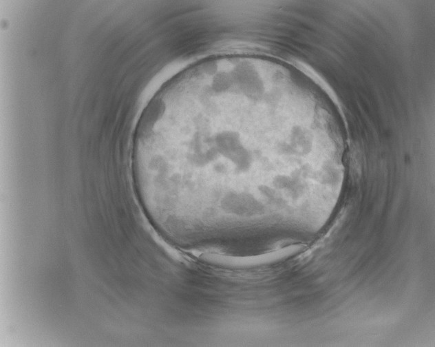 X0000075891437200610062042