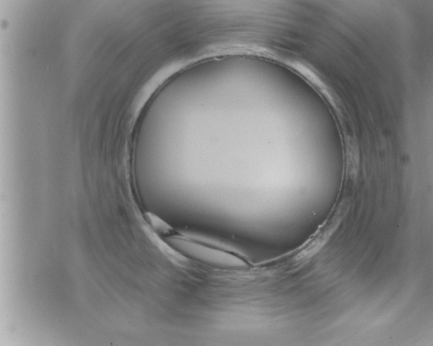 X0000075891438200610062042