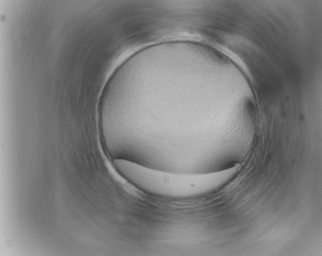 X0000075891439200610062042