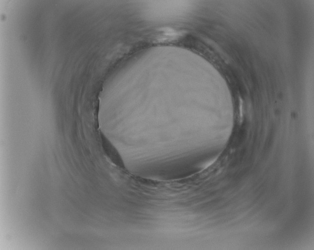 X0000075891441200610062041