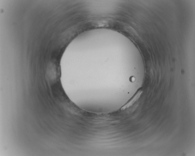 X0000075891442200610062041