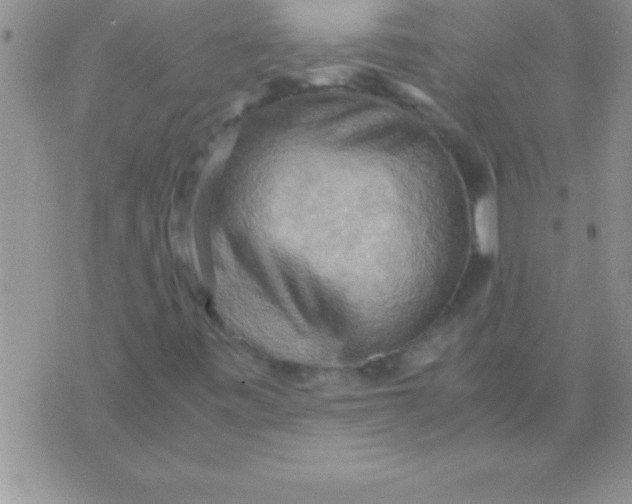 X0000075891443200610062041