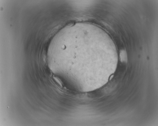 X0000075891444200610062041