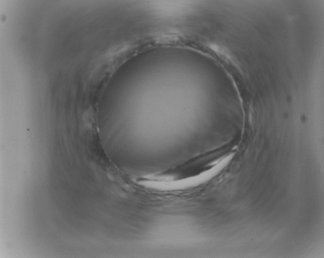 X0000075891445200610062041