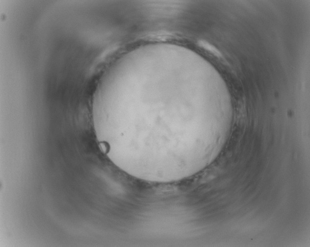 X0000075891446200610062041