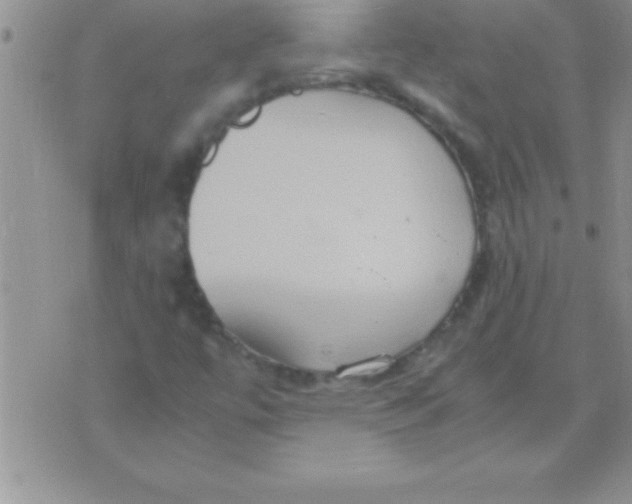 X0000075891447200610062041