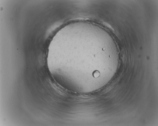 X0000075891448200610062041