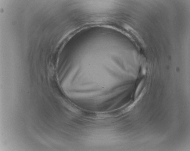 X0000075891449200610062041