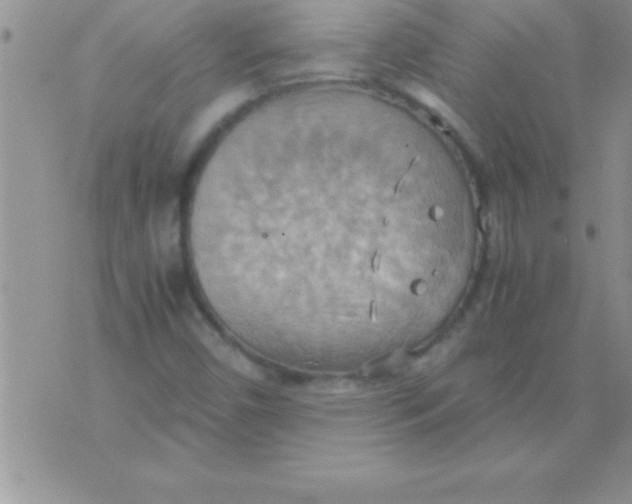 X0000075891450200610062041